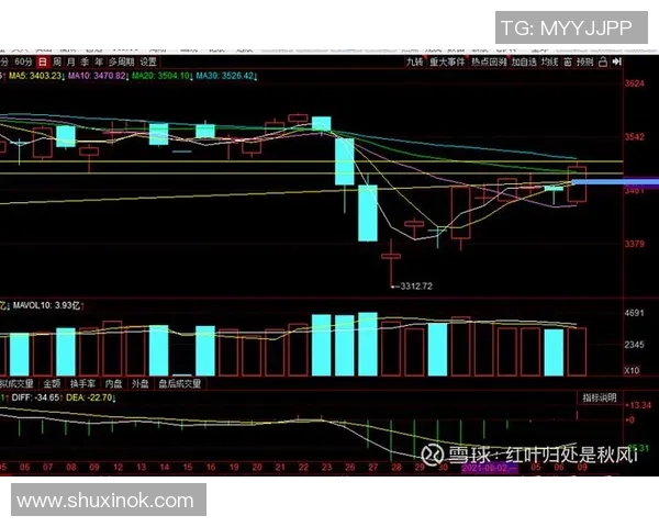 深圳足球队与重庆足球队赛后复盘分析比赛节奏与战术表现